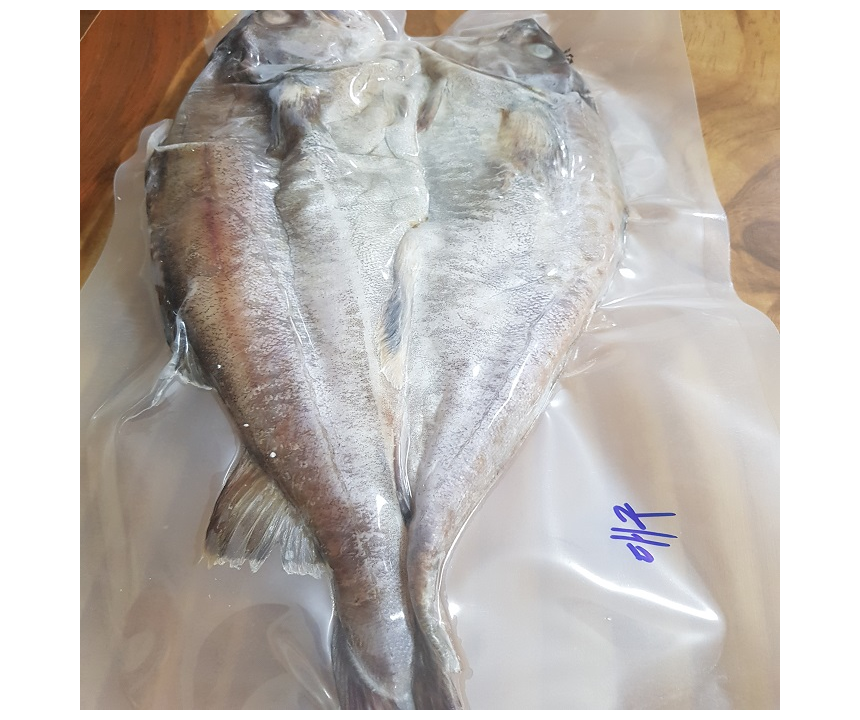 (한정특가)동해 해풍건조 반건조 생선 대구 3마리 40cm내외 찜,구이,선물용 특가판매