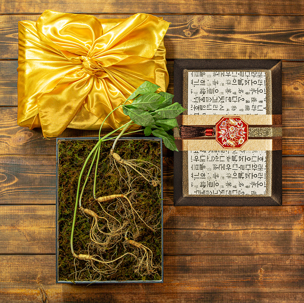 [지브로와] 100년 더 약초 강원도 토종 산양삼 산양산삼 선물세트 9종 택1