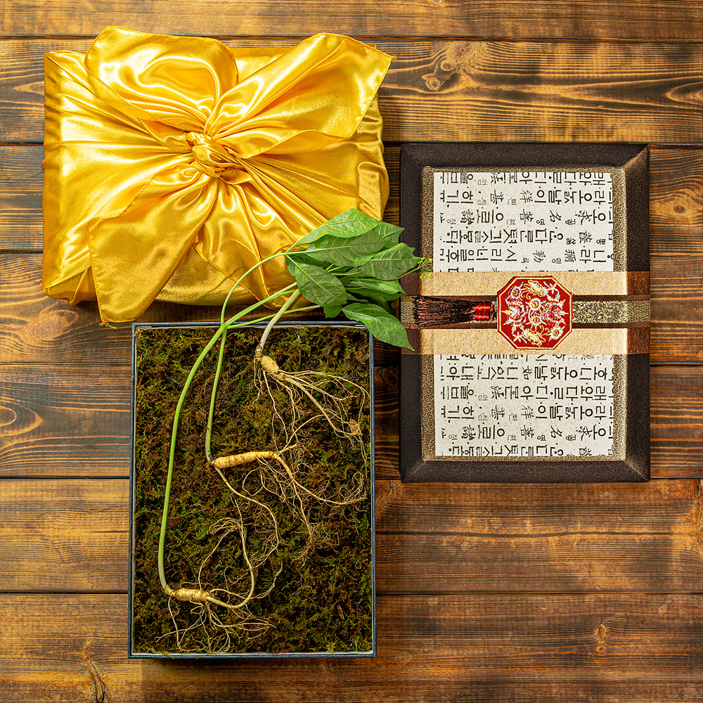 [지브로와] 100년 더 약초 강원도 토종 산양삼 산양산삼 선물세트 9종 택1