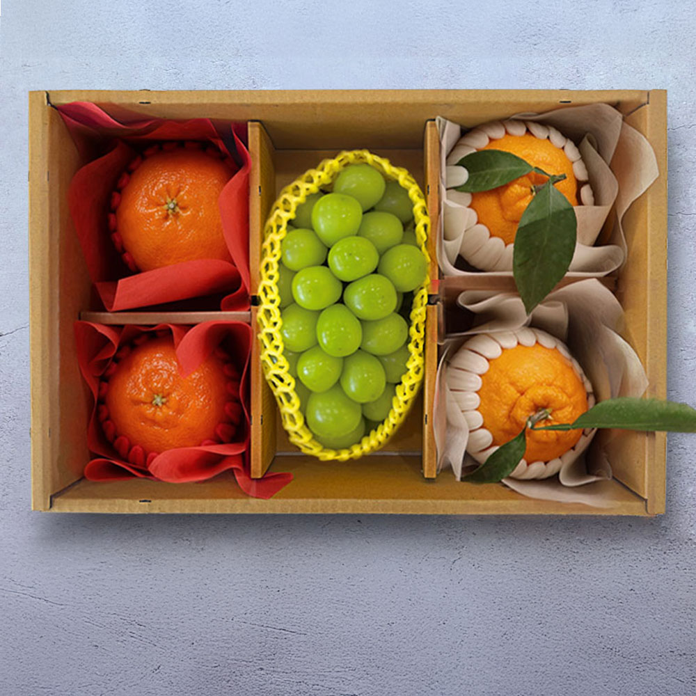 자연의 단맛을 꽉 채운 프리미엄 혼합과일 정담세트