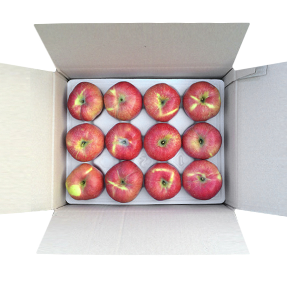 껍질째먹는 햇 부사 사과 꿀사과 2kg 3kg 5kg 가정용