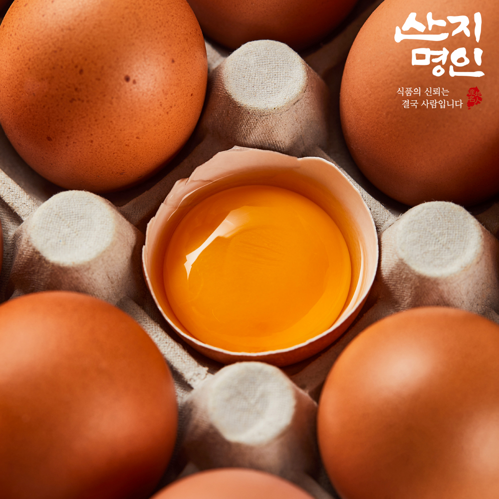 [산지명인] 난각번호1번 유정란 20구 무항생제 달걀 계란 자연방사