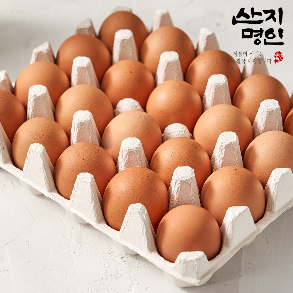 [산지명인] 난각번호1번 유정란 20구 무항생제 달걀 계란 자연방사