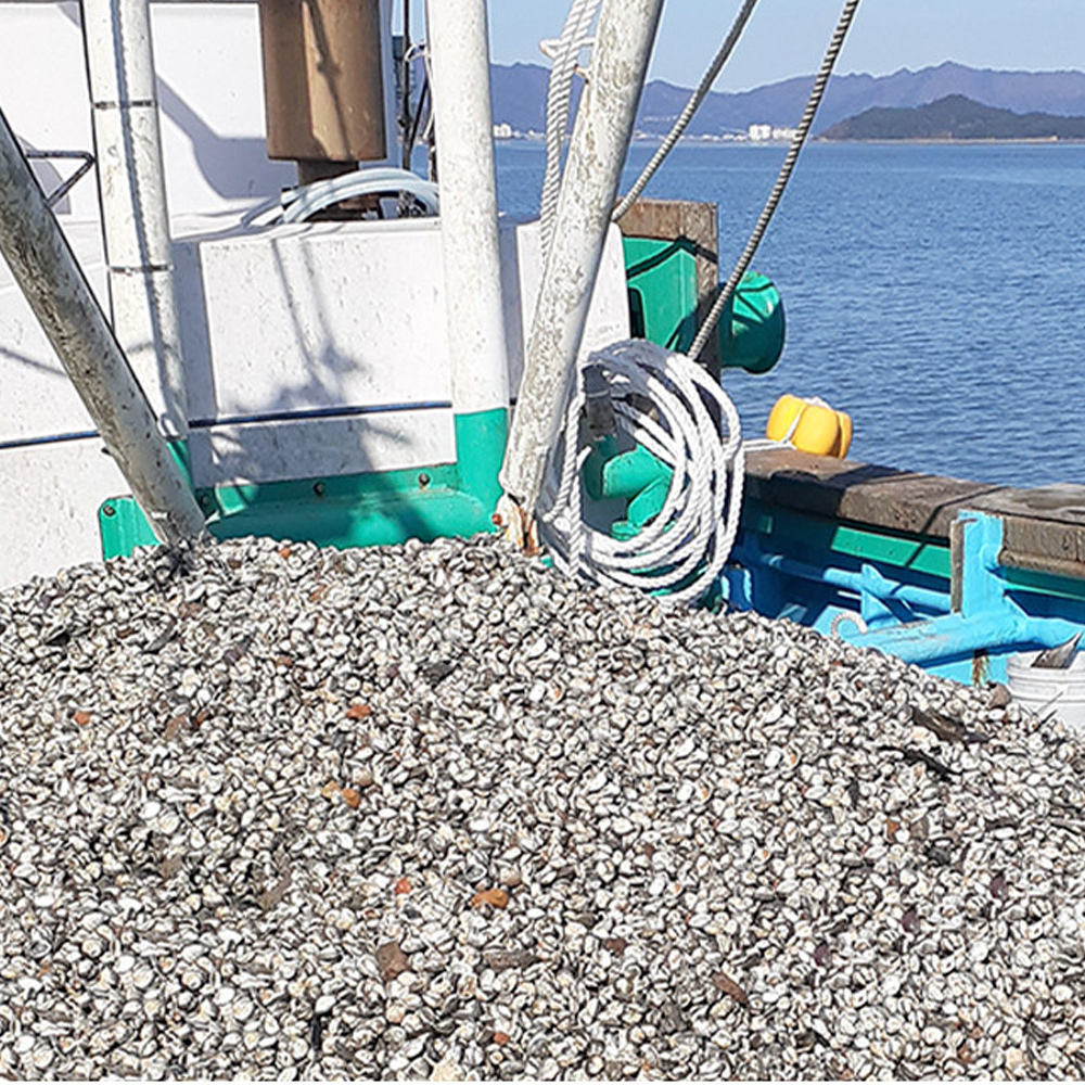 벌교 새꼬막 당일조업 1kg 제철 국내산 꼬막 산지직송