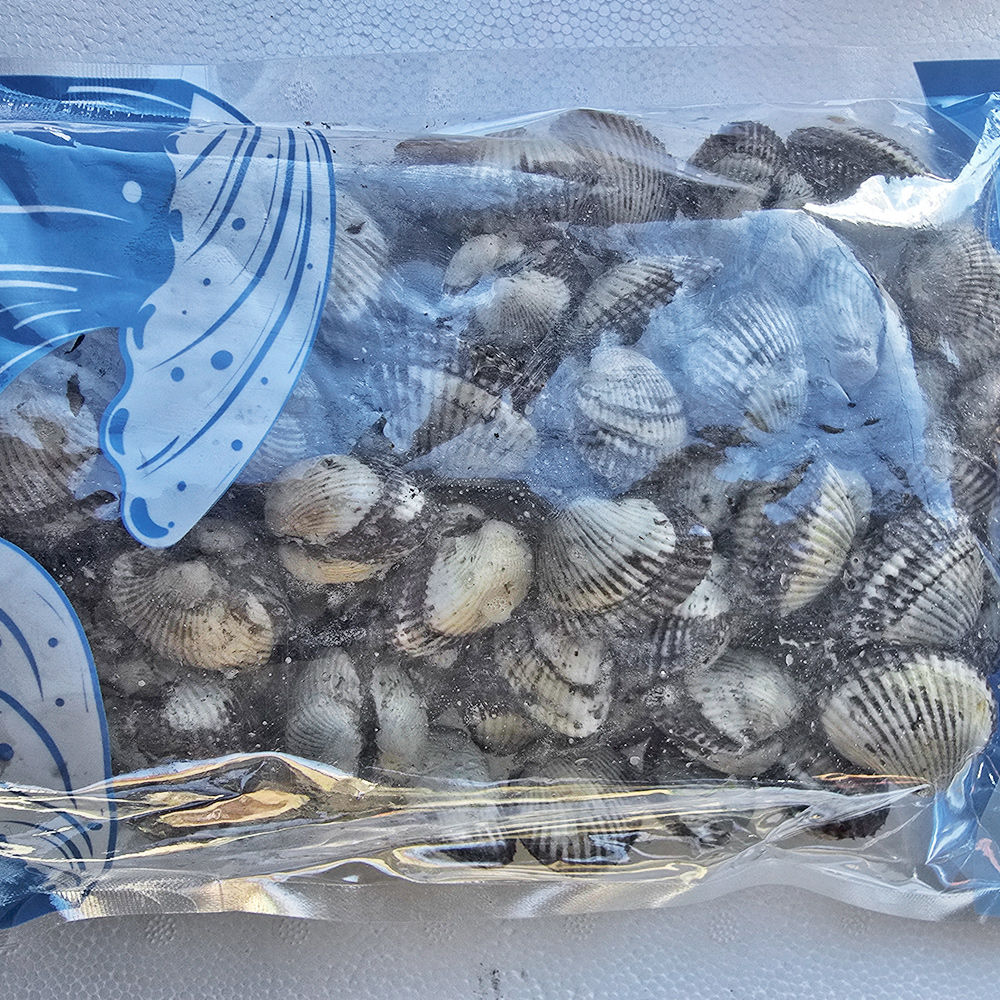 벌교 새꼬막 당일조업 1kg 제철 국내산 꼬막 산지직송