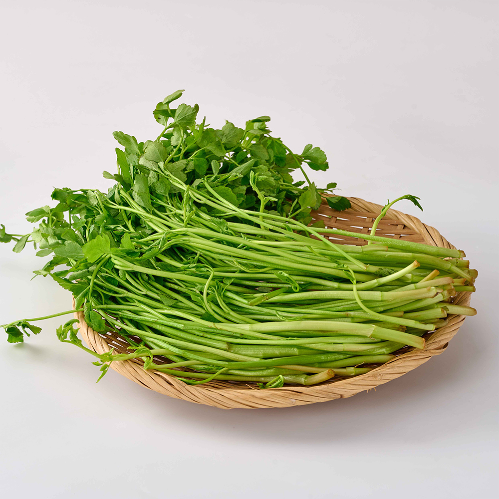 [산지직송] 암반수로 키운 청도 미나리 대표이미지 섬네일