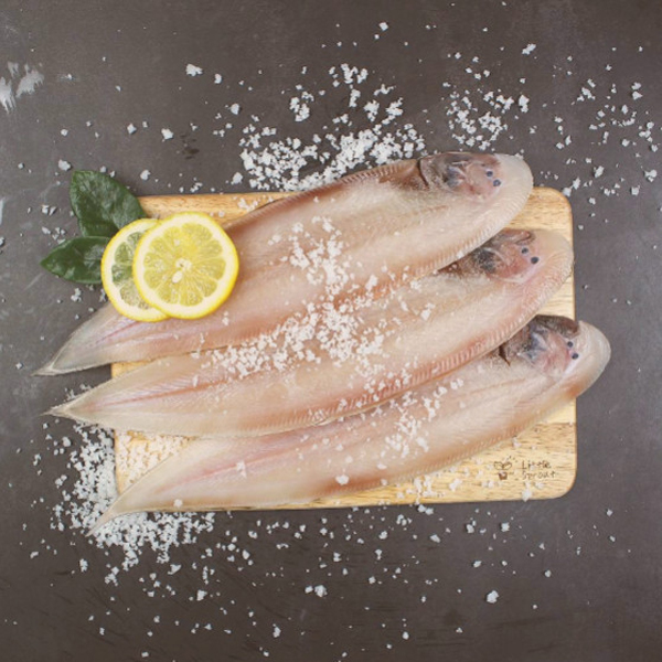 [팜스] 반건조 박대(서대) 5미(29~31cm)_국내가공 외 4종