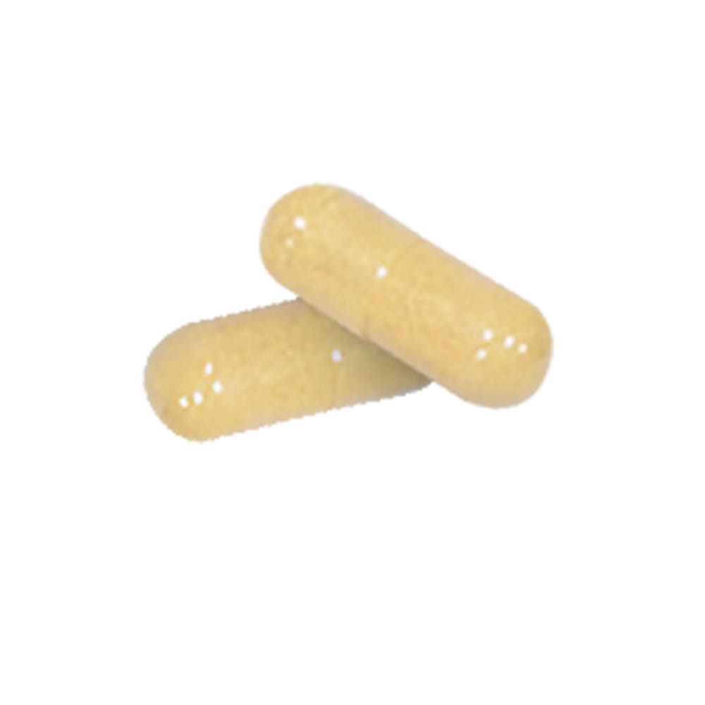 오로니아 밀크시슬 컴플렉스 750mg x 90캡슐 3통 (9개월분)