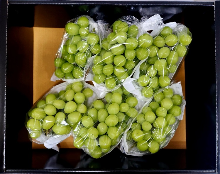 프리미엄 설 명절 과일 선물세트 사과 배 샤인머스켓 곶감