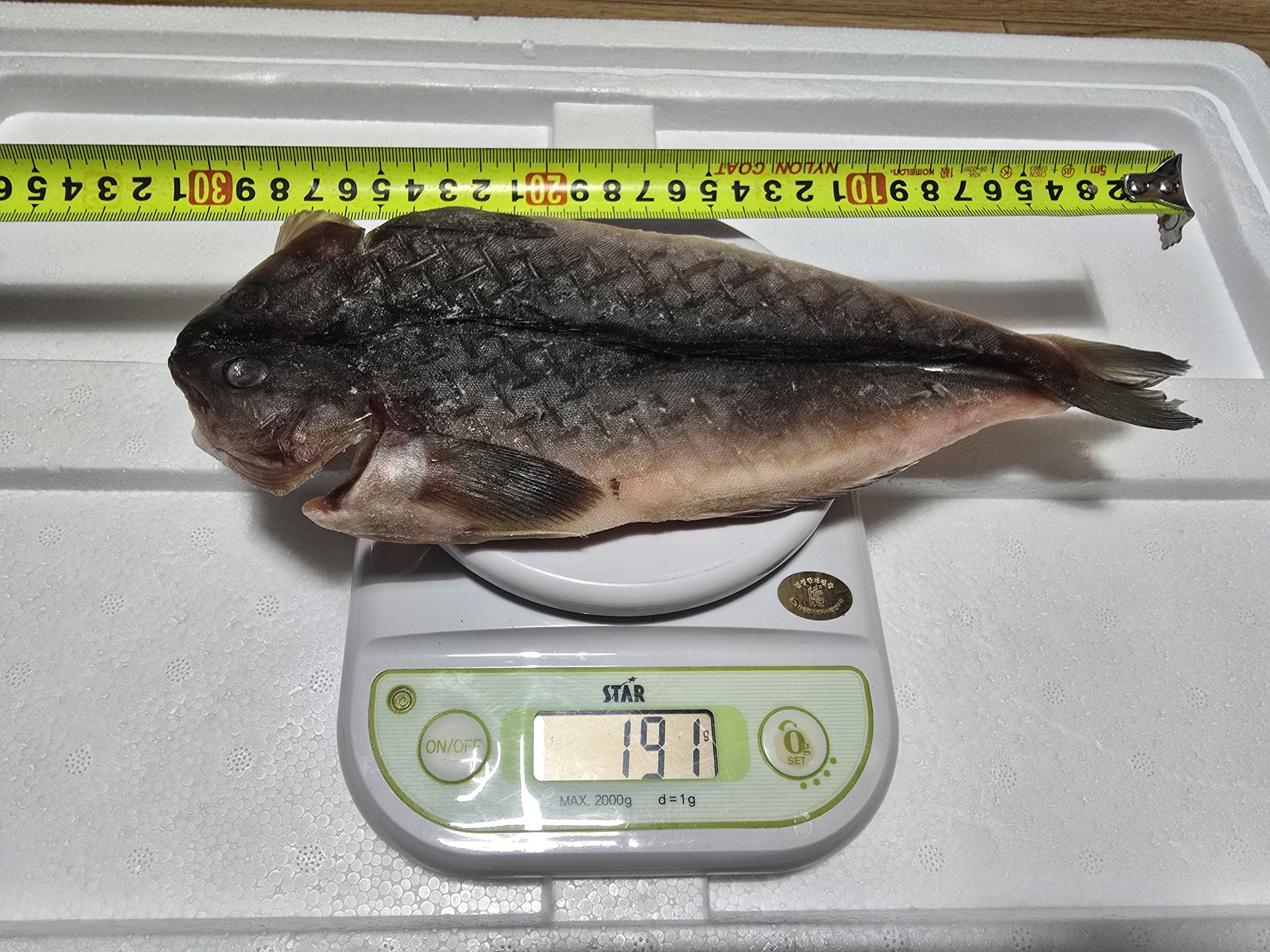 국내산 자연산 임연수 손질 세척 대용량 5마리(1마리씩진공 마리당30cm내외)