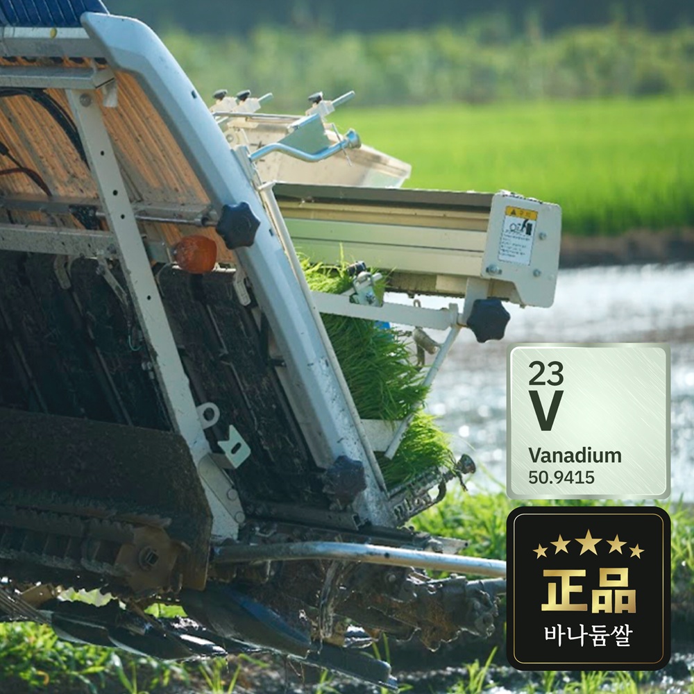 [25년 햇곡] 국산 유기농 바나듐 쌀 찰흑진주 흑미 2kg