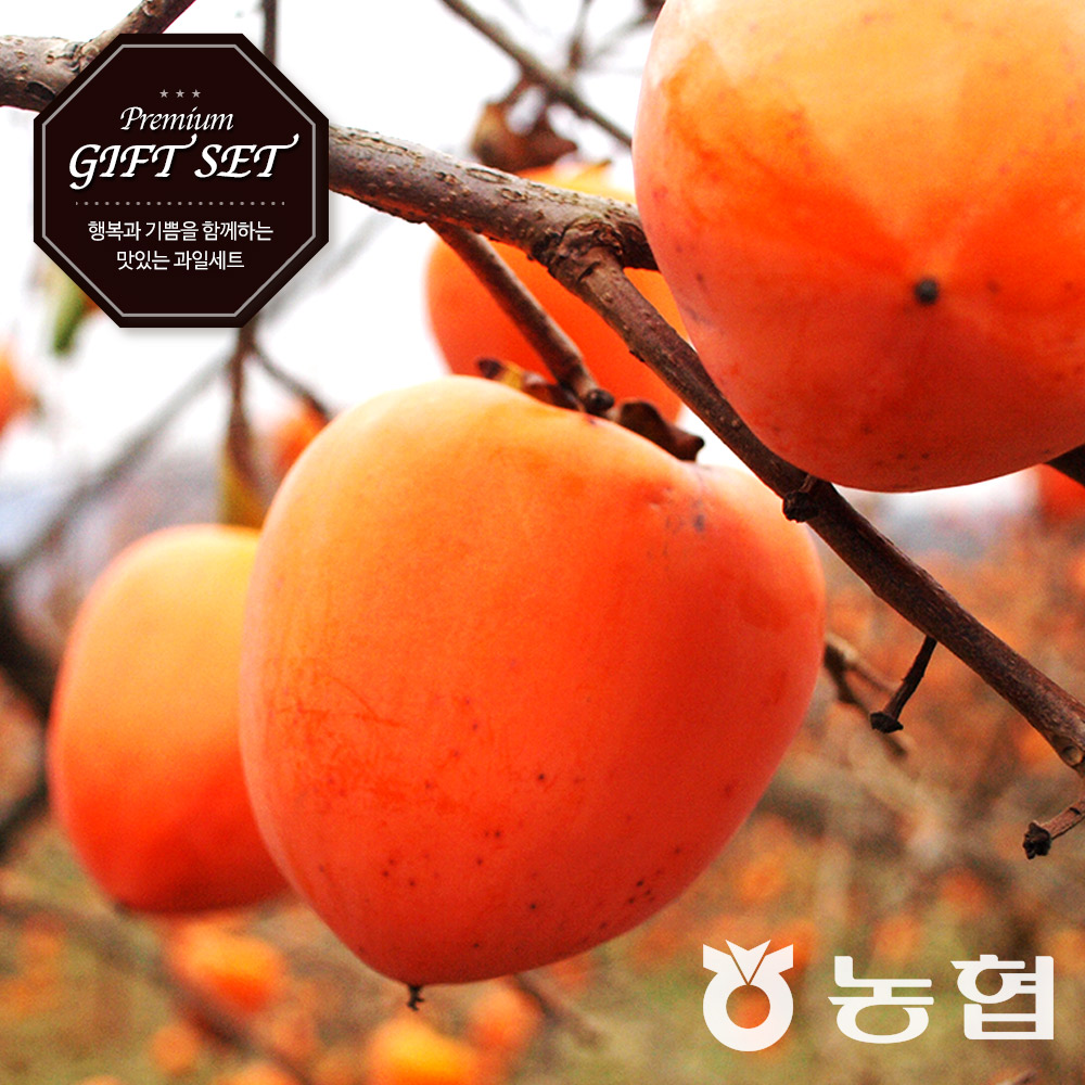 [농협] 달콤한 장성 대봉 반건시 곶감 선물세트