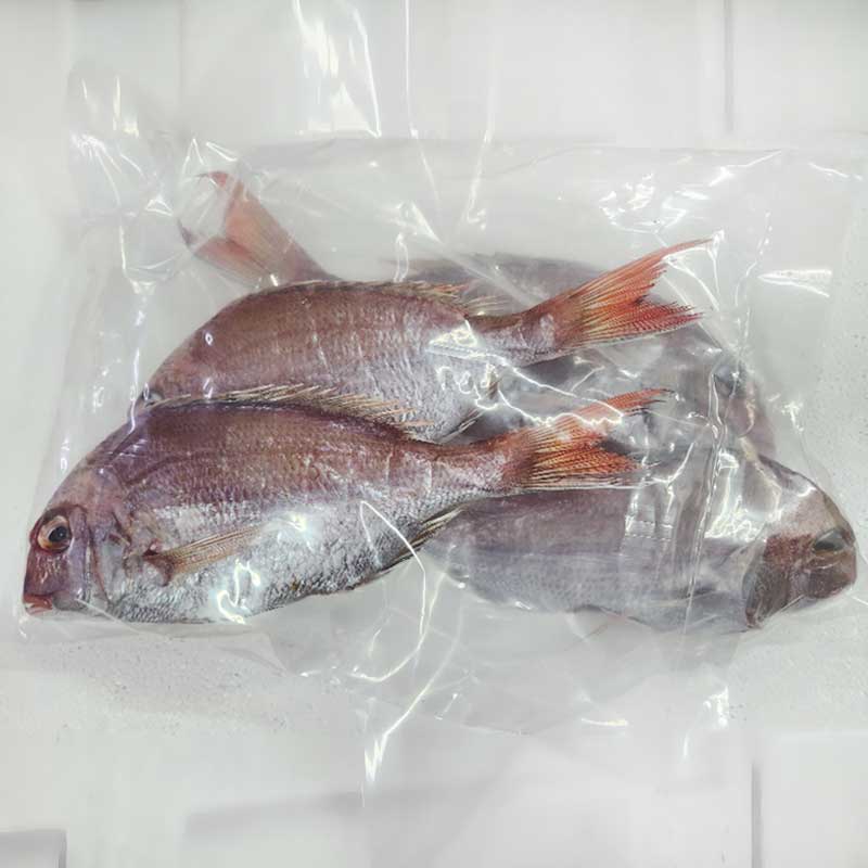 [두루농수산] 국내산 반건조 참돔 250g내외 4마리 가정용 반찬용 조림 구이