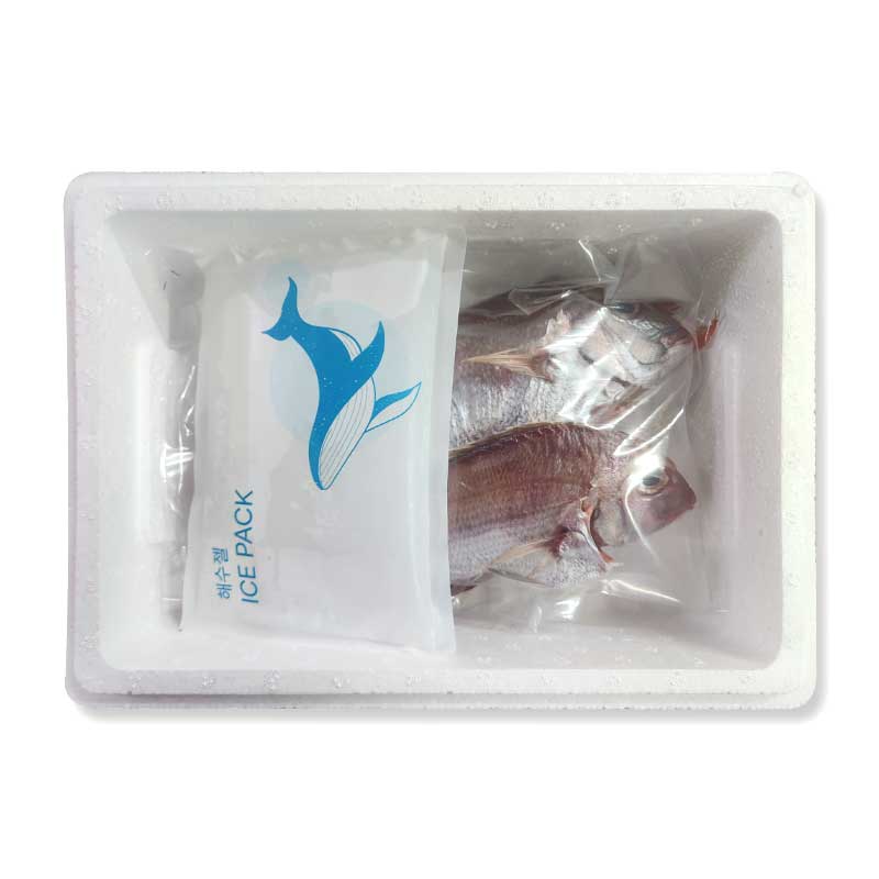 [두루농수산] 국내산 반건조 참돔 250g내외 4마리 가정용 반찬용 조림 구이