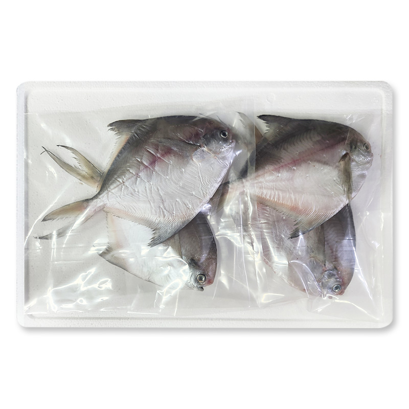 [두루농수산] 국내산 반건조 병어 170g내외 4마리 가정용 반찬용 조림 구이