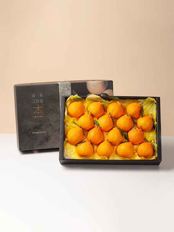 GAP 한라봉 선물세트(4.5kg)