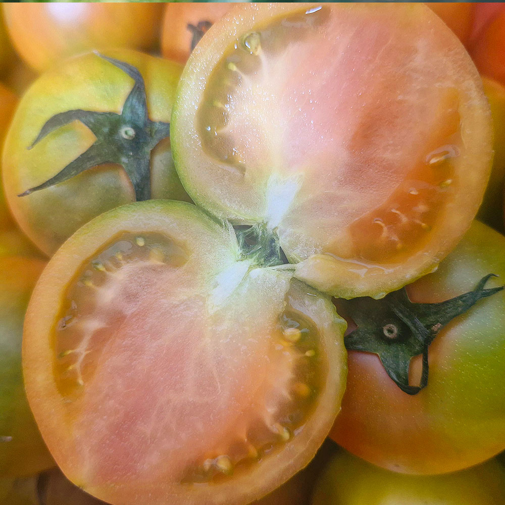 부산 대저 짭짤이 토마토 특품 대저토마토 2.5kg