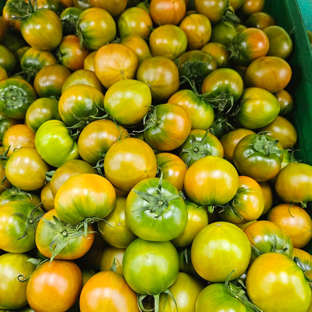 부산 대저 짭짤이 토마토 특품 대저토마토 2.5kg