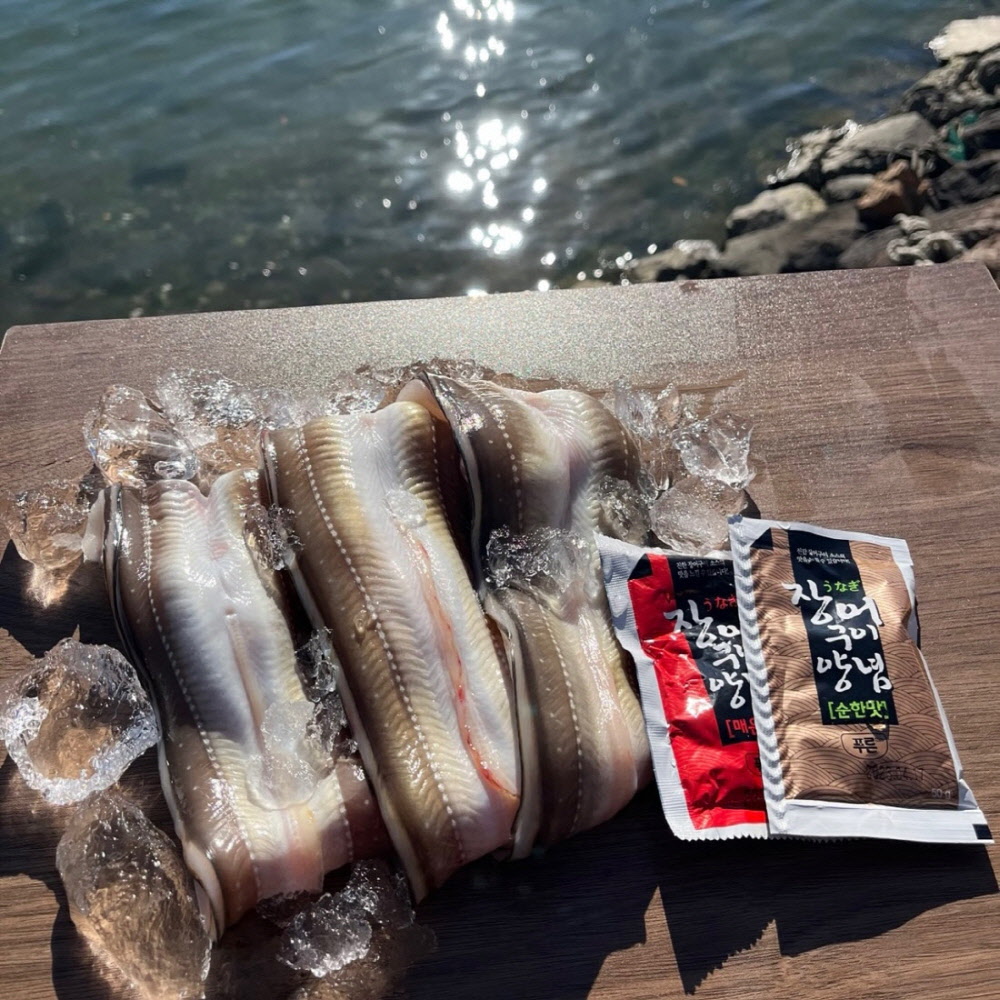 국내산 자연산 통영 손질 바다장어 600g (원물 1kg)