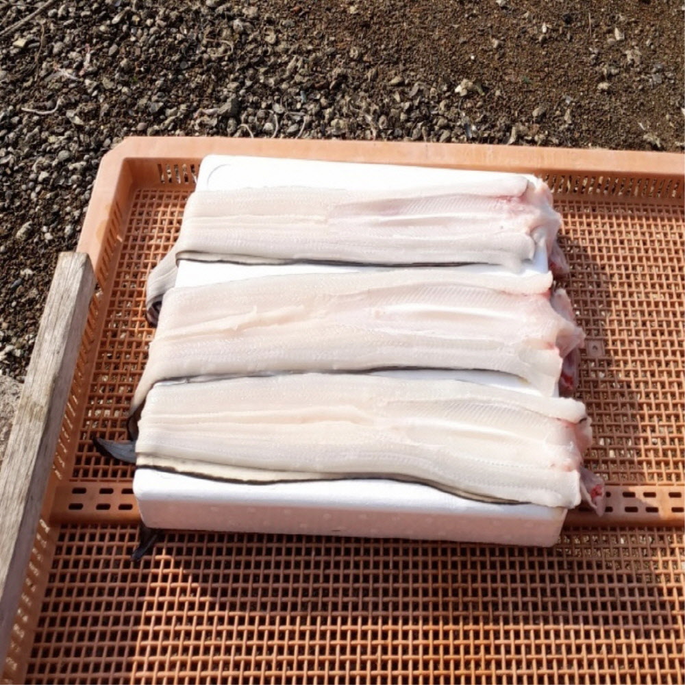 국내산 자연산 통영 손질 바다장어 600g (원물 1kg)