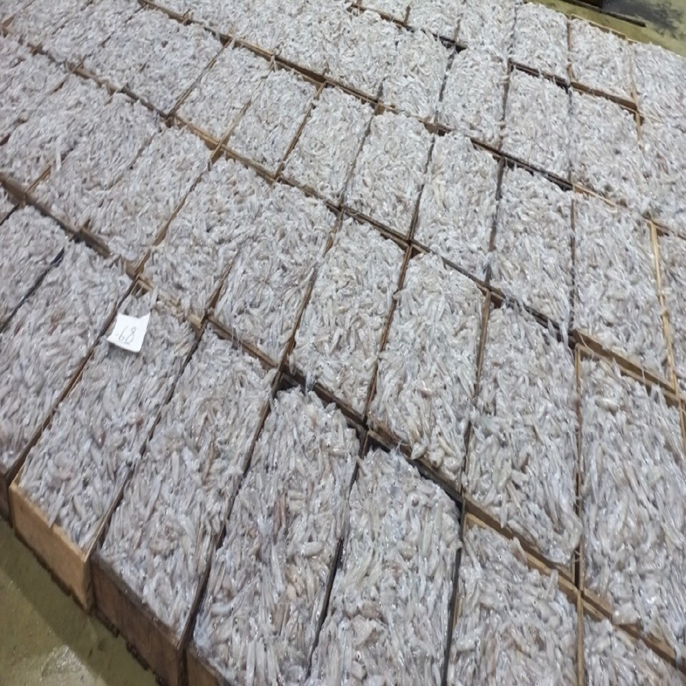 제철 남해안 생물 꼴뚜기(호래기) 500g 60미 내외 횟감용