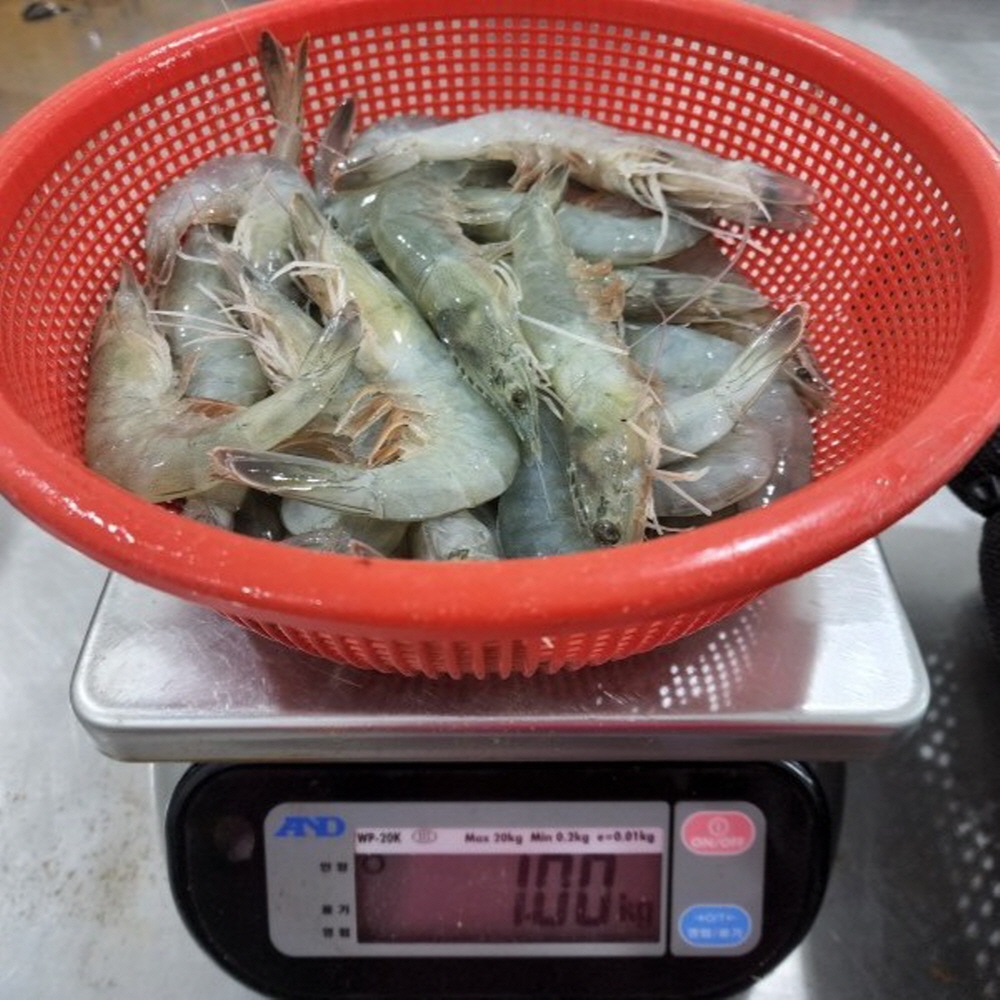 국내산 급냉 흰다리새우 1kg 30미 내외