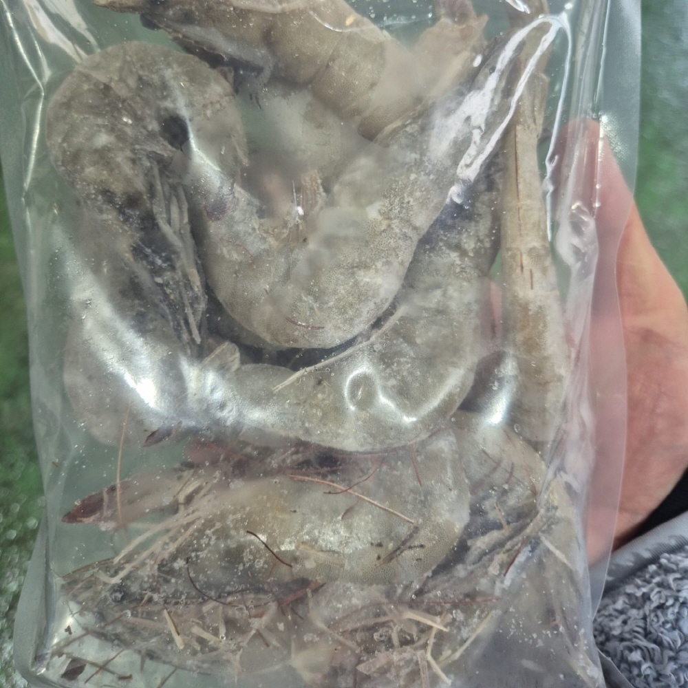 국내산 급냉 흰다리새우 1kg 30미 내외