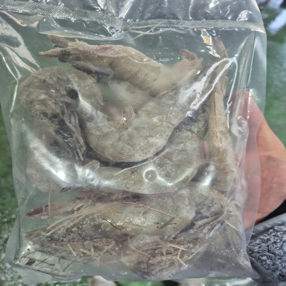 국내산 급냉 흰다리새우 1kg 30미 내외