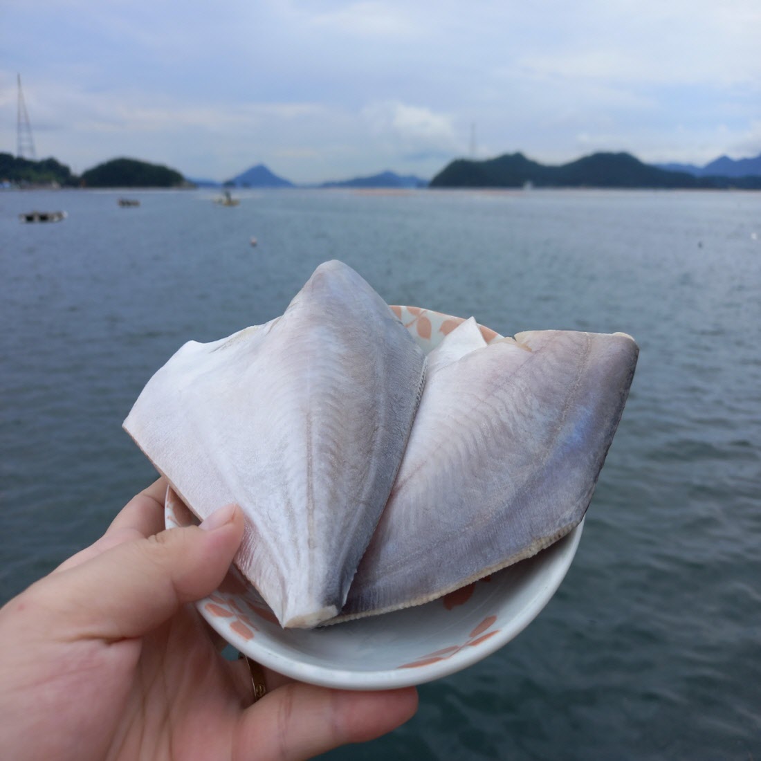 남해안 자연산 횟감용 손질 병어 300g 2-6미 원물 1kg 급냉