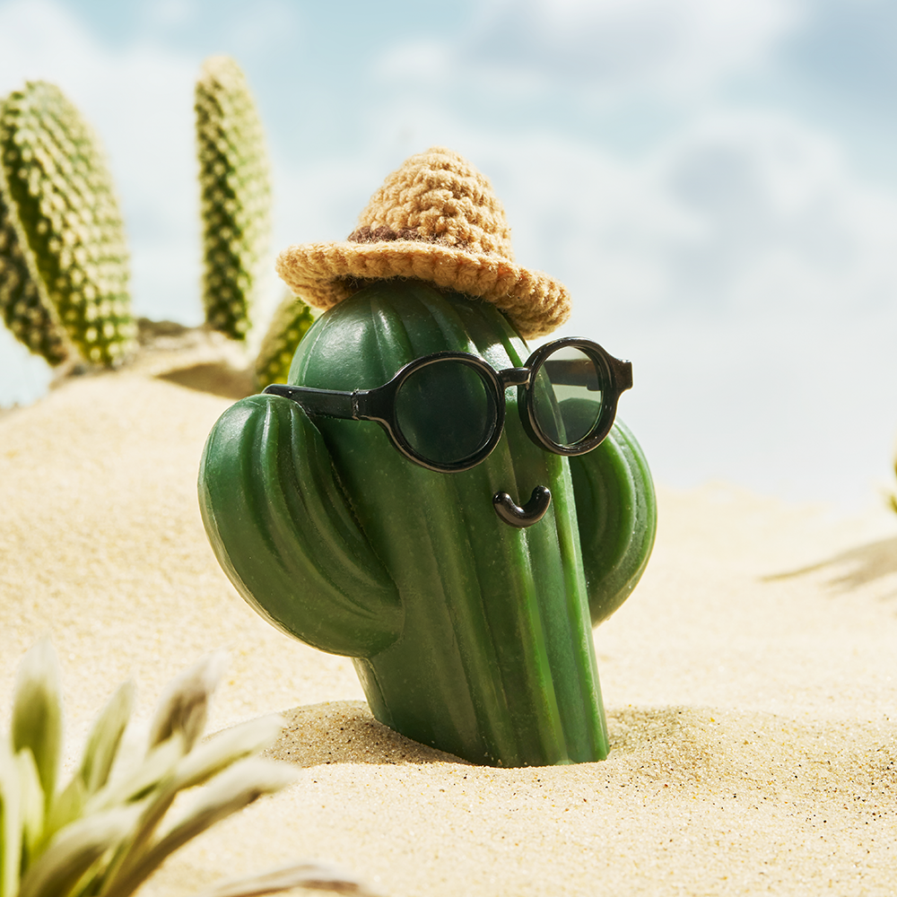 동구밭 캑터스 올인원 퍼퓸바 세트 약산성 비누 집들이선물 선인장 오브제