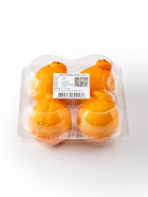 제주 직송 한라봉(특과) | 4입