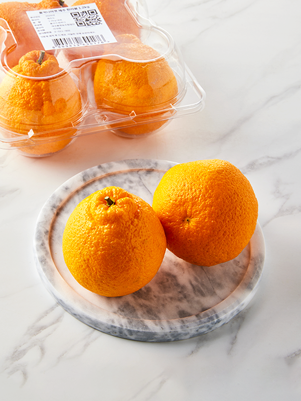 제주 직송 한라봉(특과) | 4입 대표이미지 섬네일