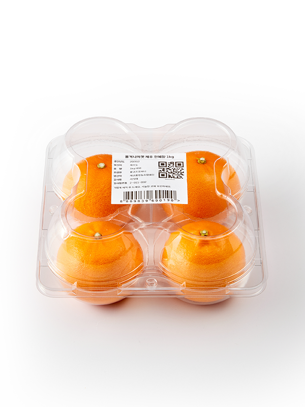 제주 직송 천혜향(특과) | 4입