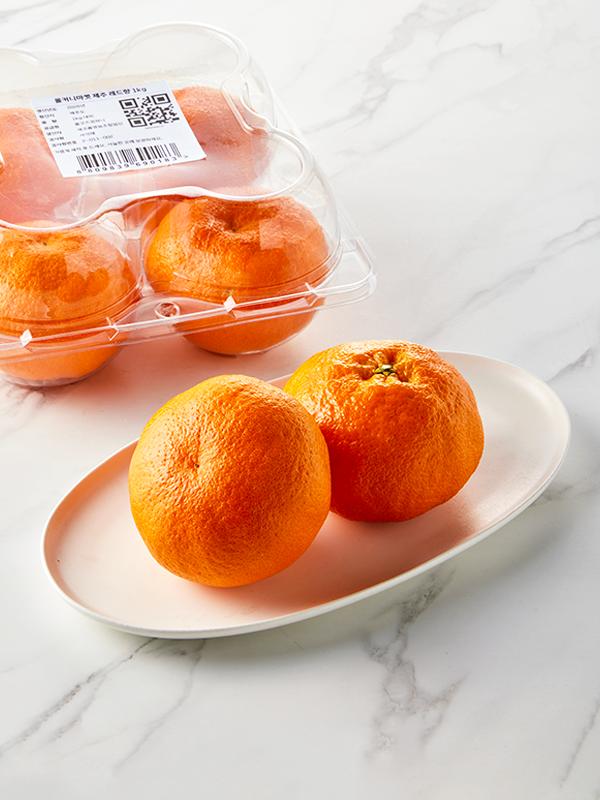 제주 직송 레드향(특과) | 4입