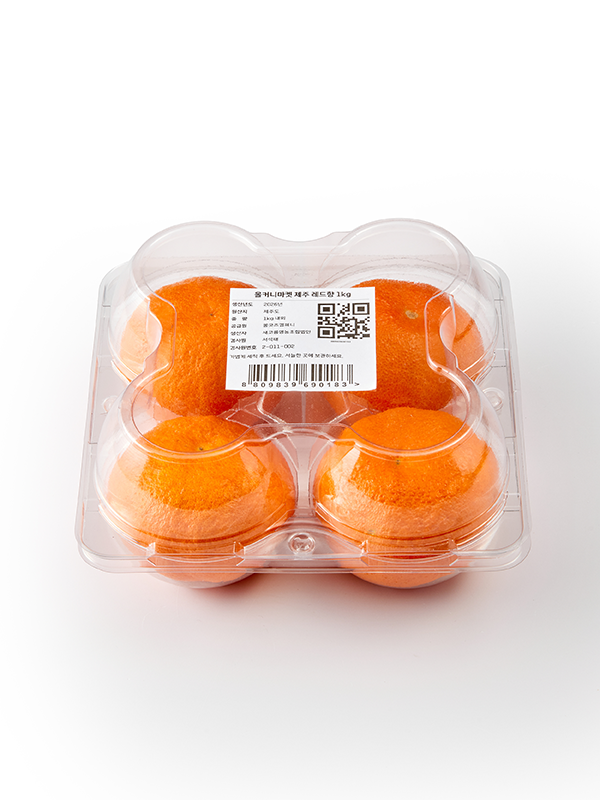 제주 직송 레드향(특과) | 4입