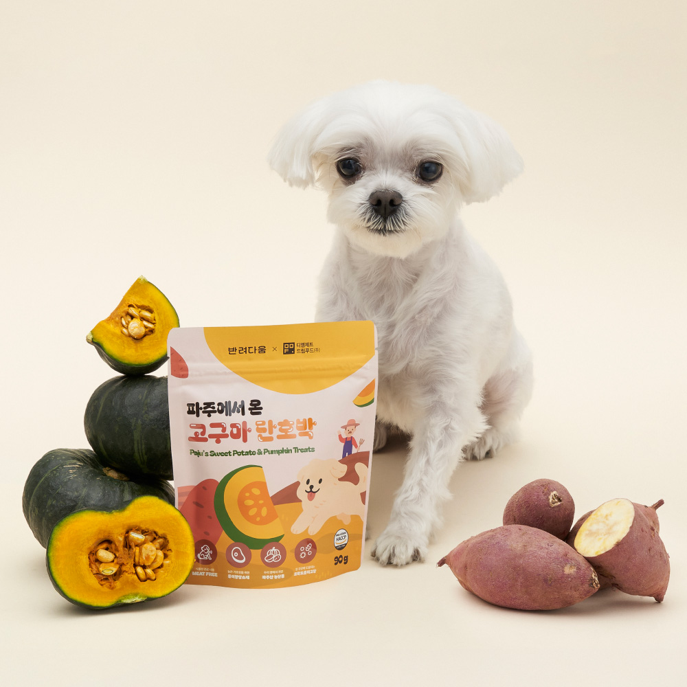 파주에서 온 고구마 단호박 반려견 간식 90g, 3개 대표이미지 섬네일