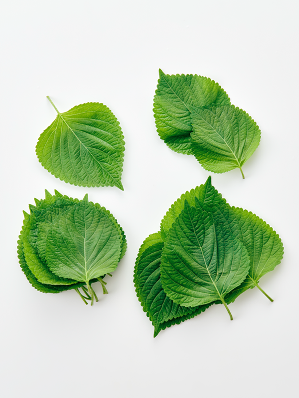 GAP 밀양 깻잎 (30g)