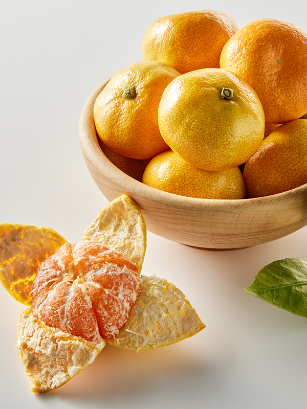 저탄소 하우스감귤, 로얄과 대표이미지 섬네일