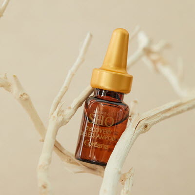 [코리아나] 로댕 쇼 리커버리 타임리스 앰플세트 2ml x 28개