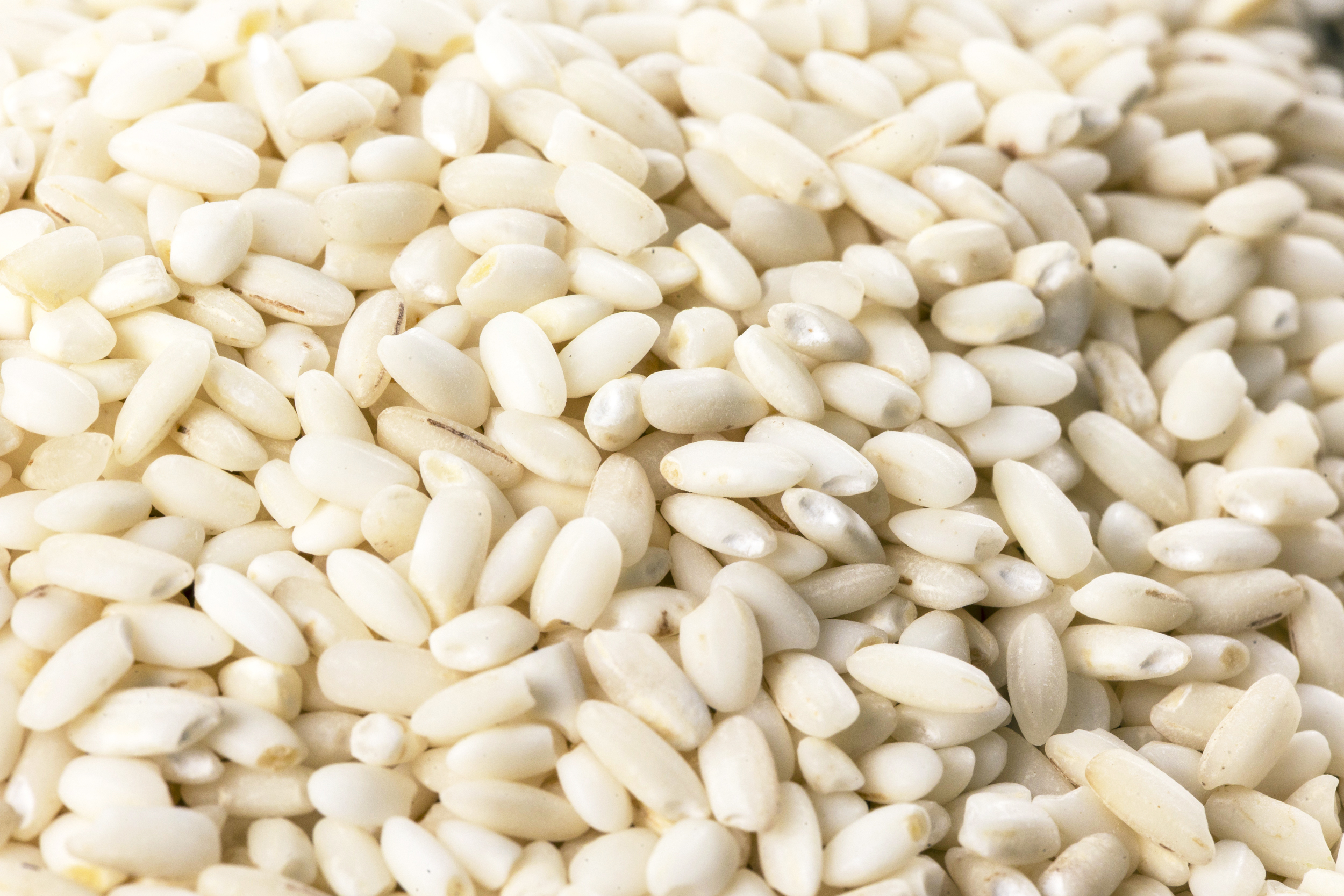 국산 찹쌀 500g 콩사랑영농조합