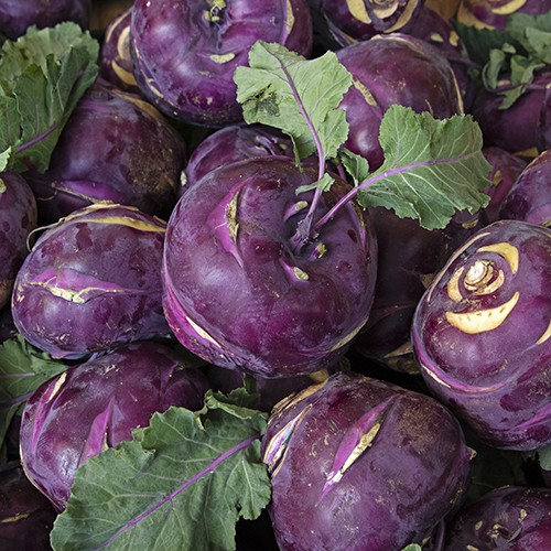 관우농가 국산 콜라비 혼합과