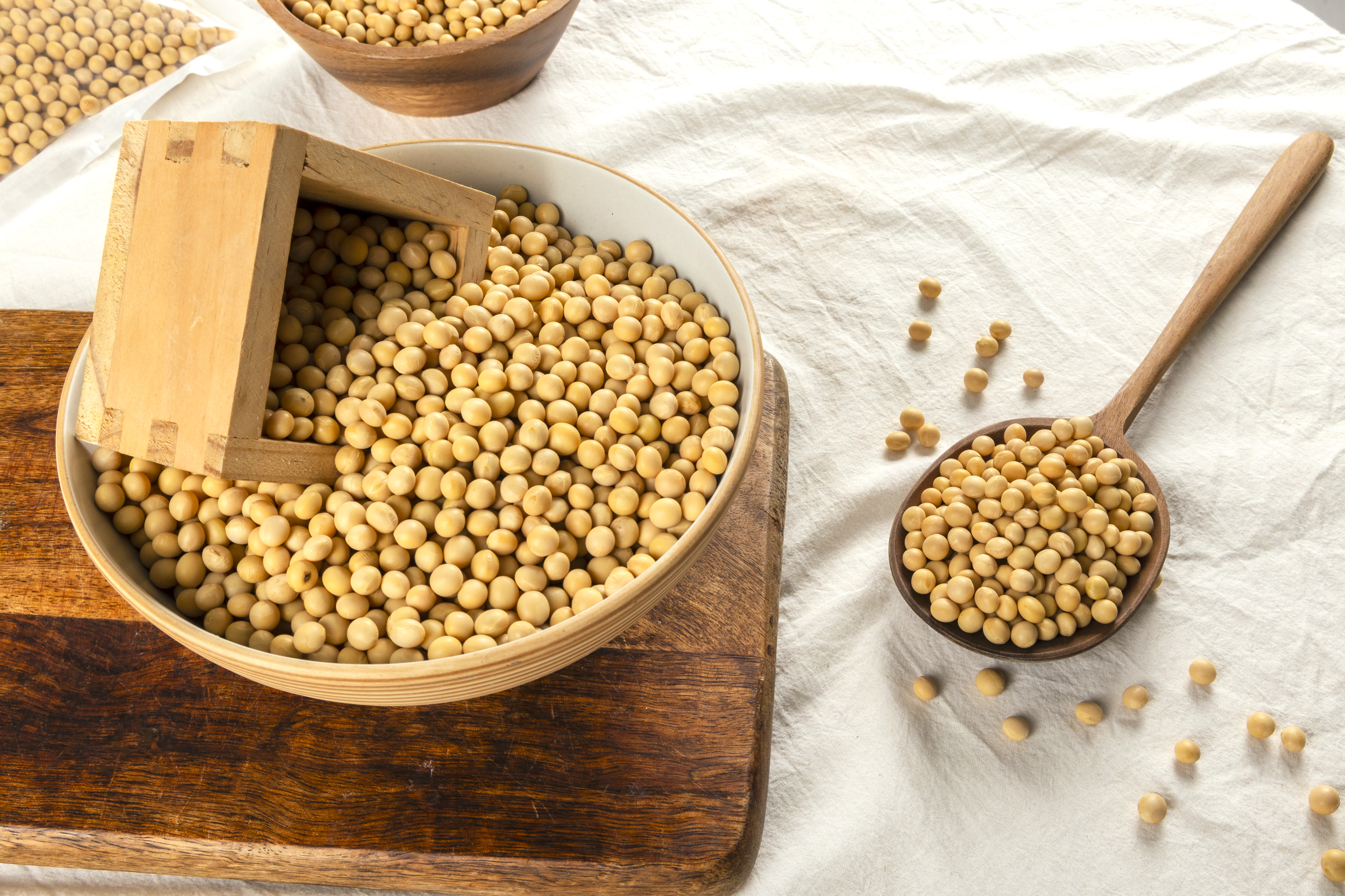 국산 백태 500g 콩사랑영농조합