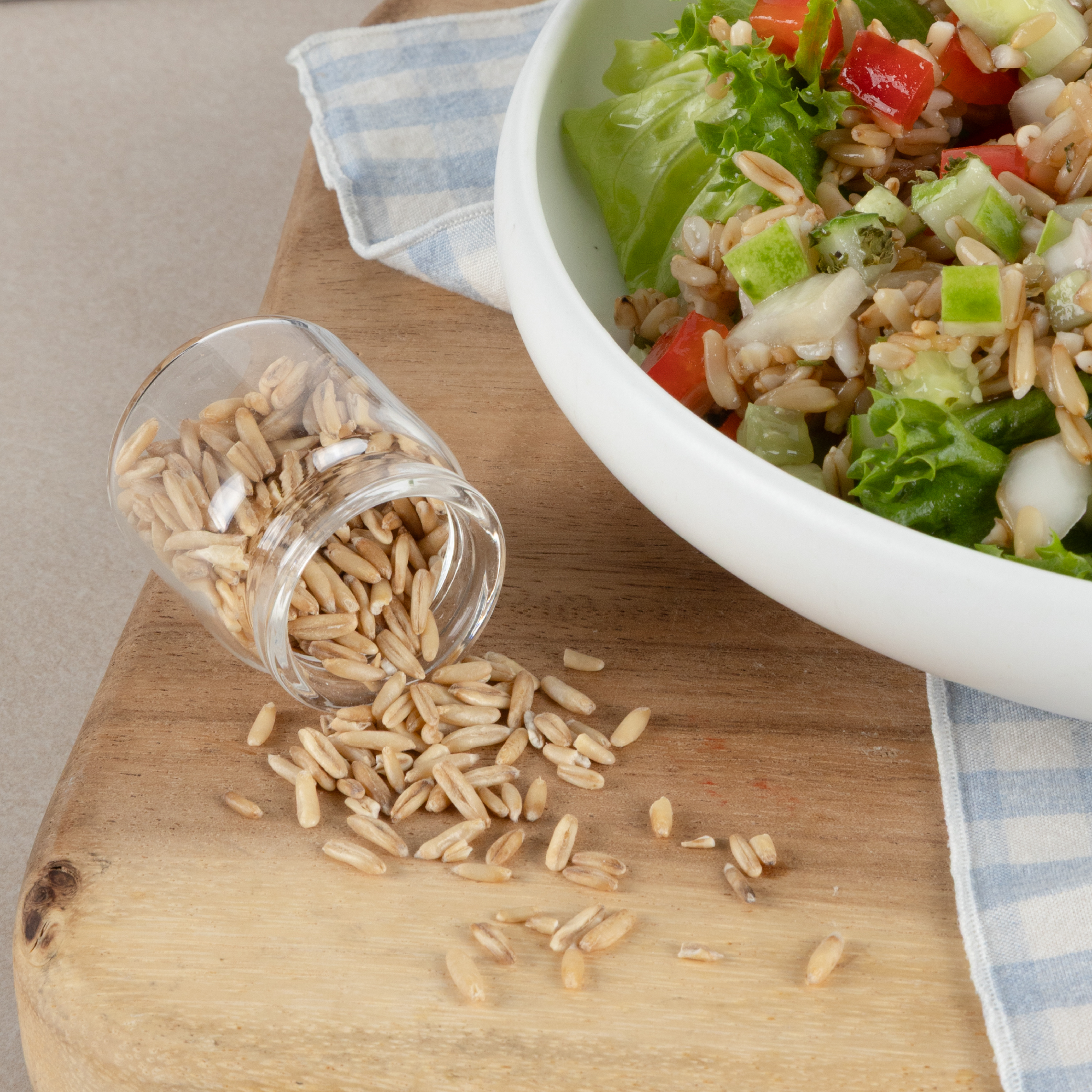 국산 귀리 500g 콩사랑영농조합