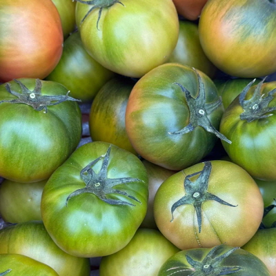 산지직송 햇 대저 토마토 1kg 대표이미지 섬네일