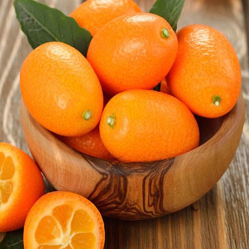 관우농가 제주산 금귤 (낑깡)