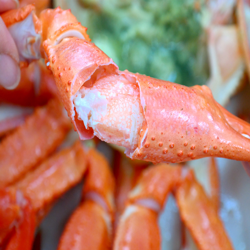 국내산 후포리 자숙 박달홍게 대 4kg (8-10미) 산지직송 수율 중등급 살 꽉 찬 홍게