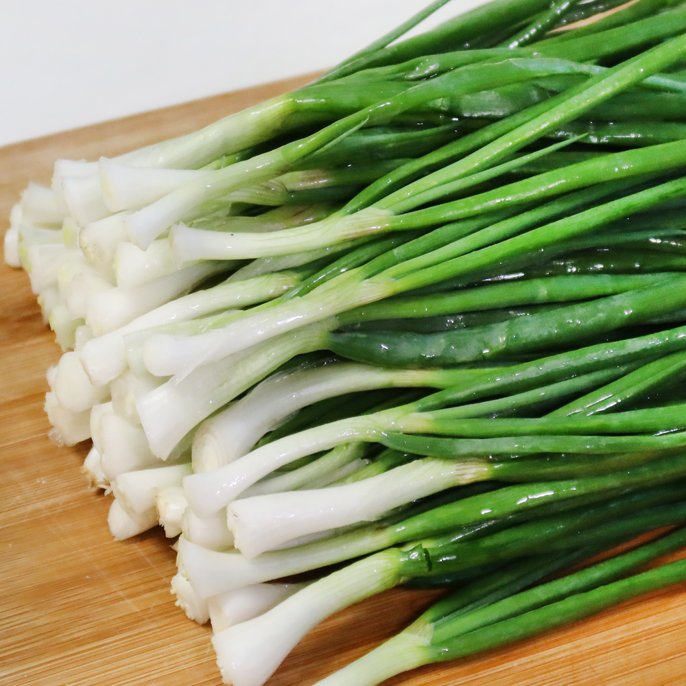 당일 손질 깐쪽파 산지직송