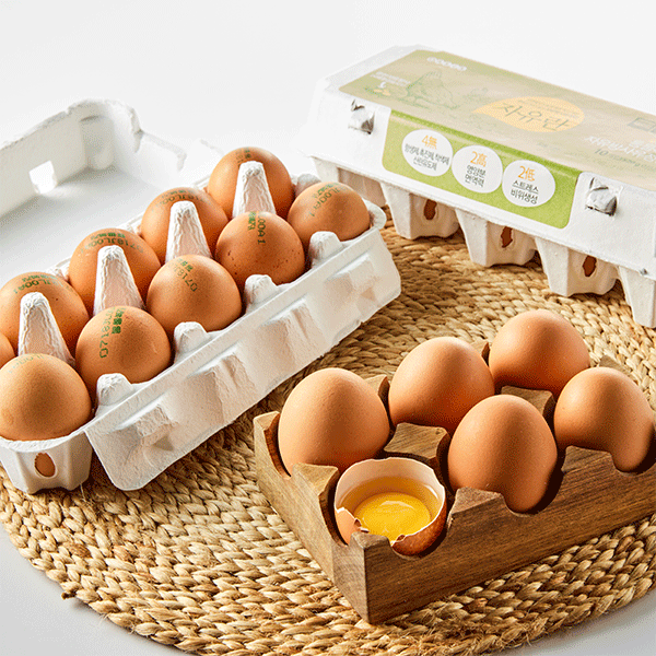 완전방사 무항생제 유정란 (10구)