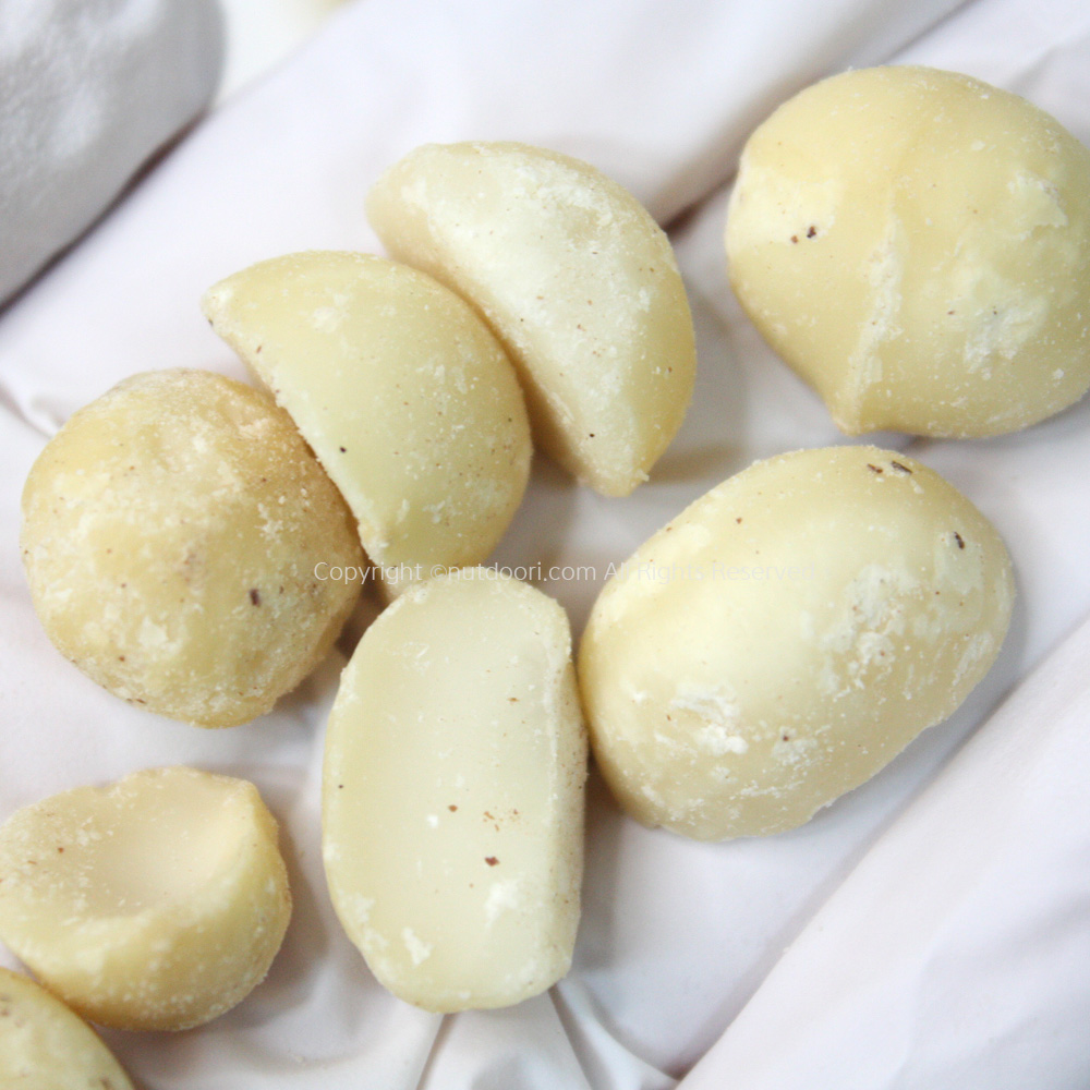 베트남 마카다미아 반태 1kg 베트남 마카다미아 4호 무염견과류