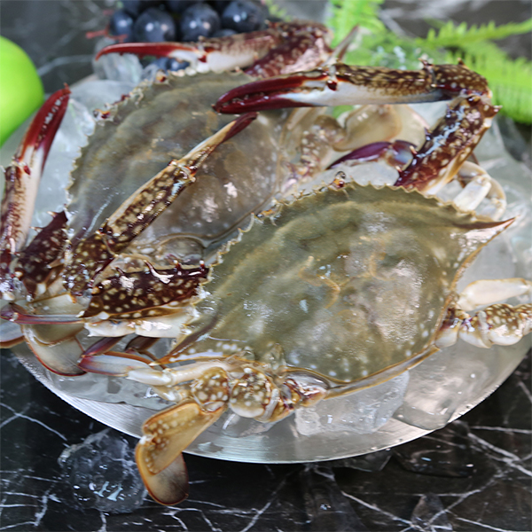 [햇땅] 연평도 급랭 암꽃게 숫꽃게 1kg 택1 게장 탕 무침용